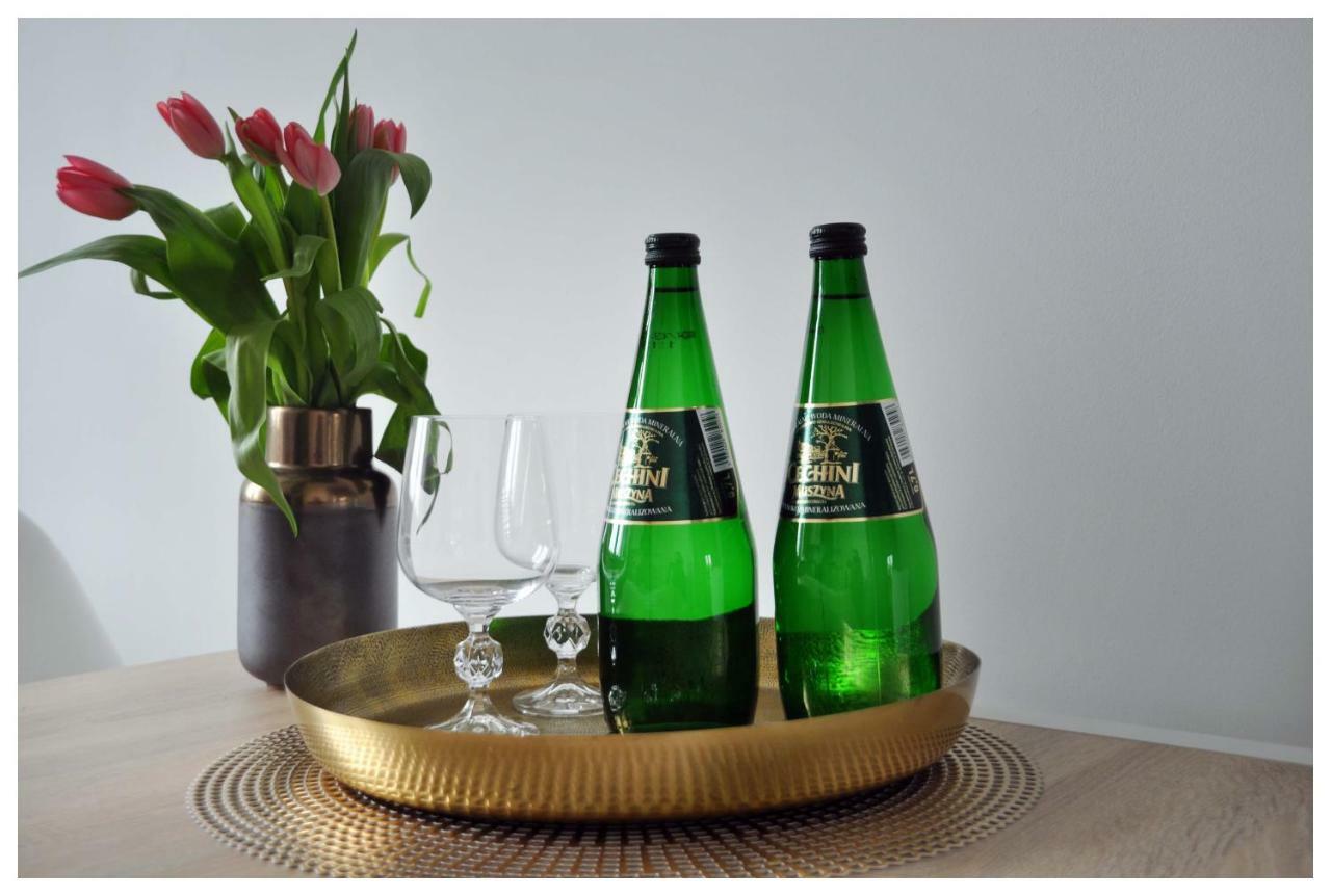 Appartamento Color 24 Premium Stalowa Wola Esterno foto